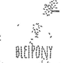 AMTRAK ‘Bleipony’ LP